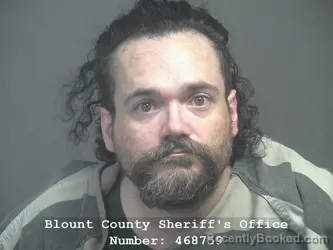 Mugshot of Rance Howard Wilson booked in Blount County, Tennessee on August 4, 2026