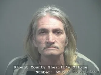 Mugshot of Ronald Martin White booked in Blount County, Tennessee on July 27, 2026