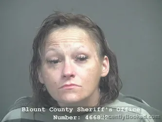 Mugshot of SUNNY LEEANN WAYMAN booked in Blount County, Tennessee on June 1, 2026