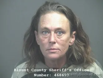 Mugshot of Cynthia Renee Young booked in Blount County, Tennessee on July 16, 2026