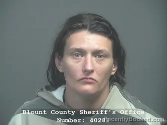 Mugshot of Gloria Ann Young booked in Blount County, Tennessee on July 16, 2026