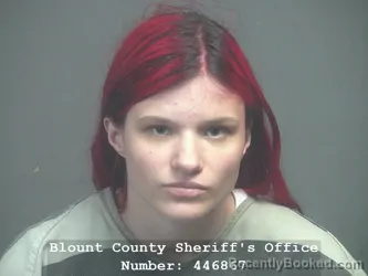 Mugshot of Julia Hailey Youngen