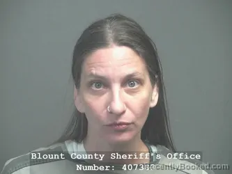 Mugshot of AGATHA ANNA HOPE ZORAWSKI booked in Blount County, Tennessee on April 7, 2026