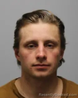 Mugshot of ANDREY SERGEYEVICH BELYY