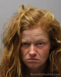 Mugshot of ALEXIS L BILLINGSLEY