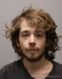 Mugshot of ANDREW LANDON ELMORE