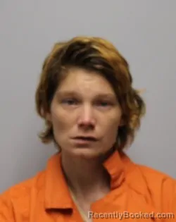 Mugshot of AMY MICHELLE GRAZIANI booked in Bradley County, Tennessee on March 14, 2026