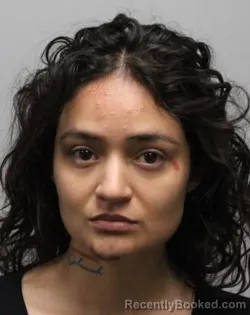 Mugshot of Ashley Mendoza booked in Bradley County, Tennessee on August 10, 2026