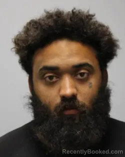 Mugshot of ALEXANDER JAMES WILLIAMS