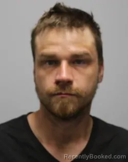 Mugshot of ALEXANDER JAMES WILLIAMSON booked in Bradley County, Tennessee on March 24, 2026