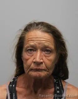 Mugshot of Brenda Lee Fowler booked in Bradley County, Tennessee on September 23, 2026