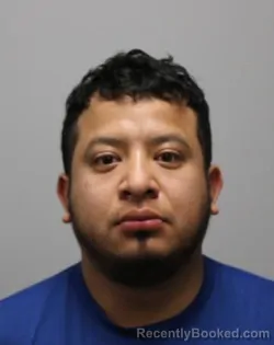 Mugshot of Bellaner Lopez Perez booked in Bradley County, Tennessee on March 15, 2026