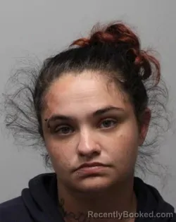 Mugshot of BRITTANY ALISE SMITH booked in Bradley County, Tennessee on June 16, 2026