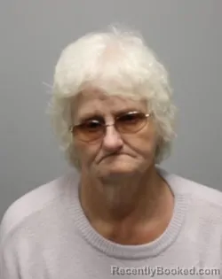 Mugshot of CENA ELIZABETH HANEY