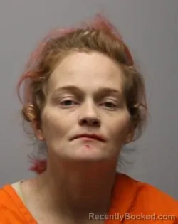 Booking photo from Bradley County, Tennessee