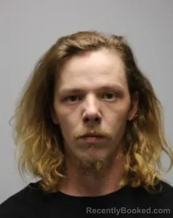 Booking photo from Bradley County, Tennessee