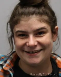 Mugshot of CHRISTINA LEANN WALKER
