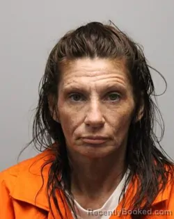 Mugshot of DARLENE GAIL COLLIER booked in Bradley County, Tennessee on August 1, 2026