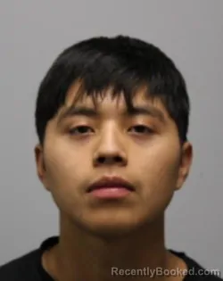 Mugshot of DARWIN GOMEZ