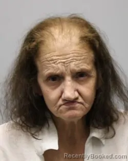 Mugshot of DEBRA DENISE HICKS booked in Bradley County, Tennessee on March 15, 2026