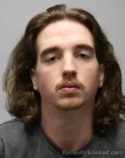 Mugshot of DONNY RAY LEWIS