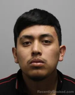 Mugshot of DENIXON OBRAYON