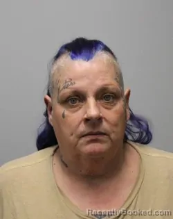 Mugshot of Diane Anita Scott booked in Bradley County, Tennessee on July 24, 2026