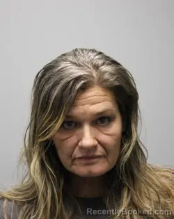 Mugshot of ERIN NIKOLE ALEXANDER booked in Bradley County, Tennessee on June 19, 2026