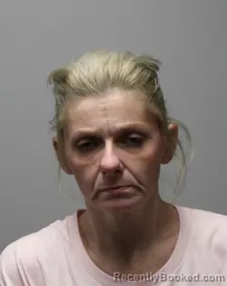 Mugshot of FANNIE ELIZABETH TAYLOR booked in Bradley County, Tennessee on May 7, 2026