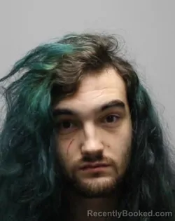 Mugshot of GLEN CHARLES SALMON