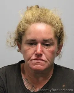 Mugshot of Kimberly Dawn Goins booked in Bradley County, Tennessee on July 29, 2026