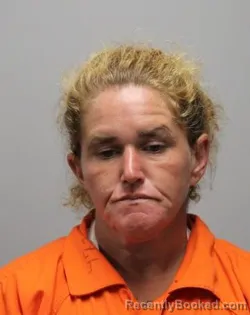 Mugshot of Kimberly Dawn Goins booked in Bradley County, Tennessee on October 14, 2026