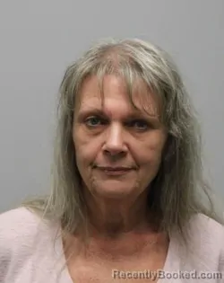 Mugshot of Kimberly Rena Johnson booked in Bradley County, Tennessee on September 24, 2026