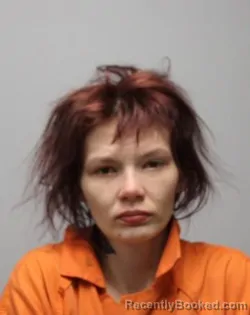 Mugshot of KRISTY KLIEVER booked in Bradley County, Tennessee on March 26, 2026