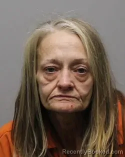 Booking photo from Bradley County, Tennessee