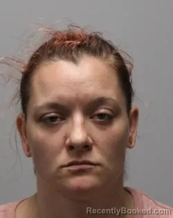 Mugshot of KRISTINA MARIE PHILLIPS booked in Bradley County, Tennessee on June 28, 2026
