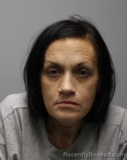 Mugshot of LINDSEY KATE PATTERSON booked in Bradley County, Tennessee on March 13, 2026