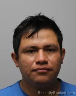 Mugshot of MERCEDES COY CAAL