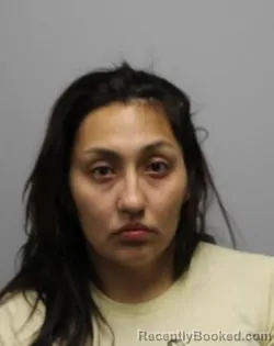 Mugshot of MARY FRANCES HOLMES booked in Bradley County, Tennessee on April 8, 2026