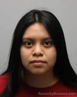 Mugshot of MARIALENA ALONZO JUAN