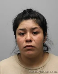Mugshot of Miriam Vanesa Molina-Hernandez booked in Bradley County, Tennessee on June 2, 2026