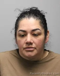Mugshot of Monica Mejia Gomez booked in Bradley County, Tennessee on August 20, 2026