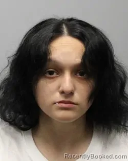 Mugshot of MARIA MERCEDES PELAYO booked in Bradley County, Tennessee on April 30, 2026