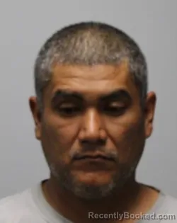 Mugshot of MARIO ENRIQUE SALGADO booked in Bradley County, Tennessee on March 9, 2026