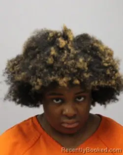 Mugshot of NIKKAYLA A BURNETT