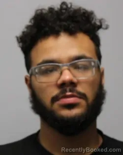 Mugshot of NICHOLAS ANTHONY FLYNN