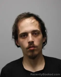 Mugshot of RILEY JASE FISH booked in Bradley County, Tennessee on March 8, 2026