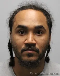 Mugshot of Ryan Vaquaro Taylor