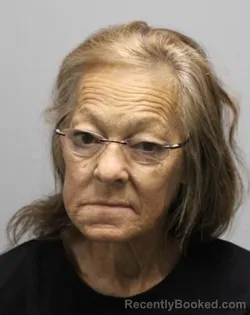Mugshot of SUSAN MYRA BURNETT booked in Bradley County, Tennessee on July 12, 2026