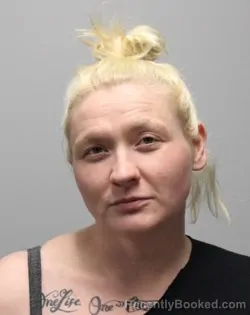 Mugshot of SHELBI E GENTRY booked in Bradley County, Tennessee on April 20, 2026